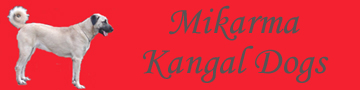 kangal banner